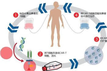 bck体育官网